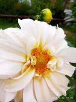 IMG-20190722-WA0116.jpg