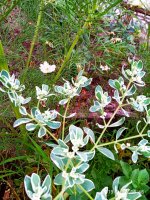 IMG-20190722-WA0115.jpg
