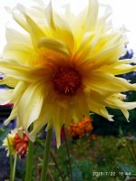 IMG-20190722-WA0113.jpg