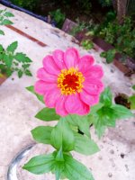 IMG-20190722-WA0111.jpg