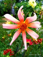 IMG-20190722-WA0110.jpg