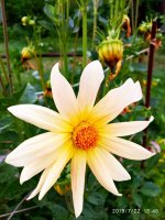 IMG-20190722-WA0109.jpg