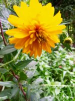 IMG-20190722-WA0107.jpg