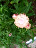 IMG-20190722-WA0104.jpg