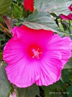 IMG-20190722-WA0130.jpg