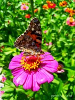 IMG-20190722-WA0101.jpg