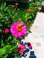 IMG-20190722-WA0093.jpg
