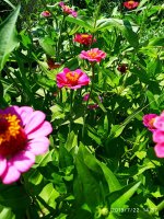IMG-20190722-WA0085.jpg