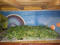 IMG_20190722_205723[1].jpg
