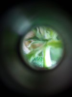 20190722_151116.jpg 20190722_151116.jpg