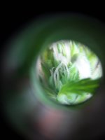 20190722_151157.jpg 20190722_151157.jpg