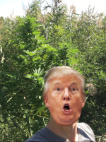 77AE60E9-EE32-4904-8B6E-C9E7D0AF2228.png