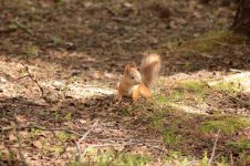 IMG_9612.jpg
