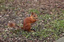 IMG_9621.jpg