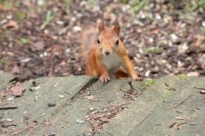 IMG_9635.jpg