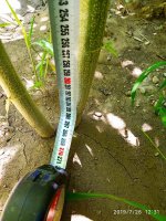 IMG-20190726-WA0002.jpg