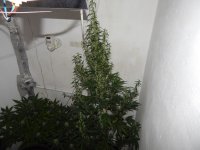 DSCN2674.JPG