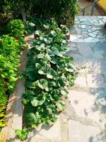 IMG-20190728-WA0003.jpg IMG-20190728-WA0003.jpg