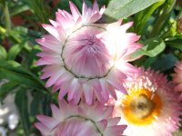 DSC02003.JPG