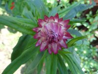 DSC02005.JPG