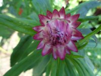 DSC02012.JPG