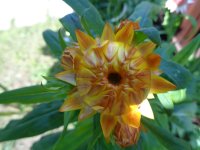 DSC02014.JPG