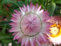 DSC02017.JPG