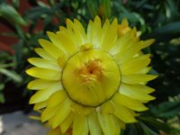 DSC02018.JPG