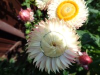 DSC02019.JPG