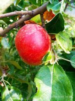 IMG-20190730-WA0009.jpg