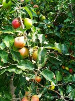 IMG-20190730-WA0002.jpg