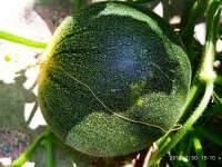 IMG-20190730-WA0012.jpg