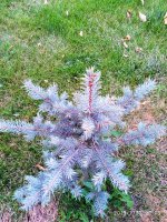 IMG-20190730-WA0045.jpg