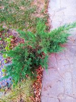 IMG-20190730-WA0043.jpg