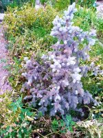 IMG-20190730-WA0041.jpg