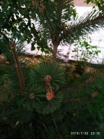 IMG-20190730-WA0039.jpg