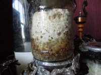 DSCN1677.JPG