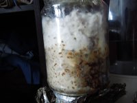 DSCN1678.JPG