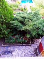 IMG-20190731-WA0001.jpg