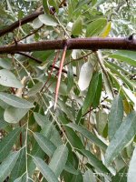 IMG-20190731-WA0008.jpg