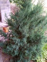 IMG-20190731-WA0015.jpg