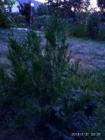 IMG-20190731-WA0020.jpg