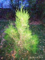 IMG-20190731-WA0019.jpg