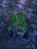 IMG-20190731-WA0018.jpg