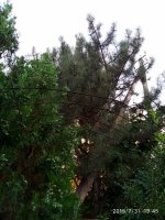 IMG-20190731-WA0013.jpg