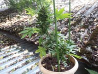 Херер 31.07 (2).jpg