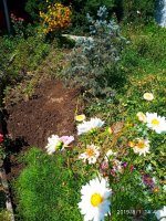 IMG-20190801-WA0014.jpg
