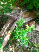 IMG-20190801-WA0013.jpg