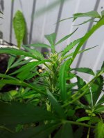 20190730_135649.jpg 20190730_135649.jpg