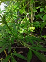 20190730_135658.jpg 20190730_135658.jpg